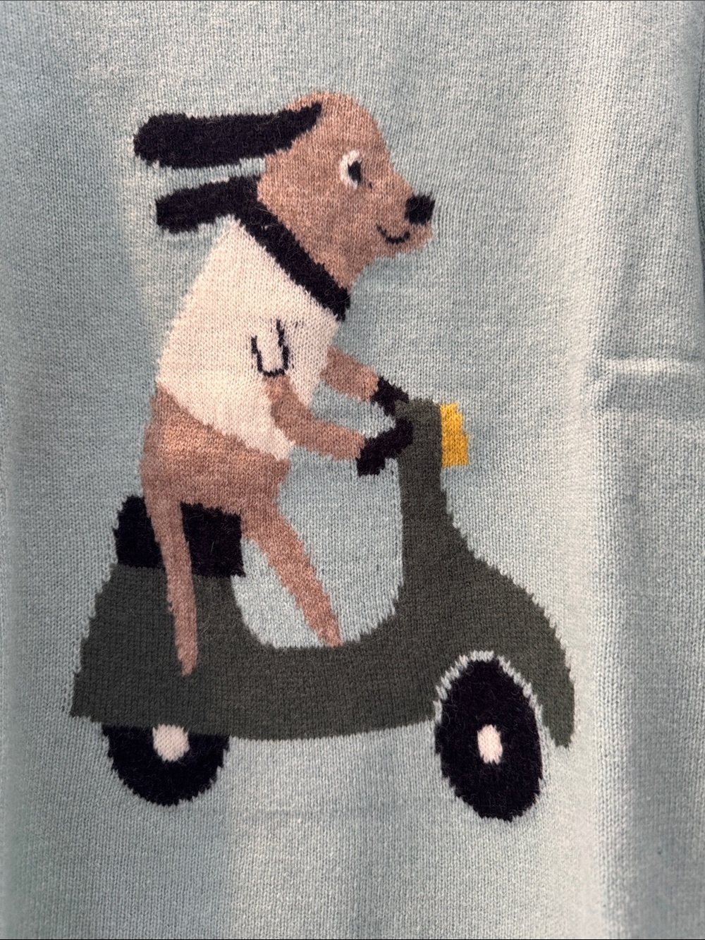 Kids Light Blue Sweater with Scooter Dog Graphic - Picture 3 of 4